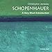 Schopenhauer: A Very Short Introduction