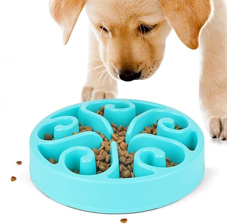 amazon slow dog feeder