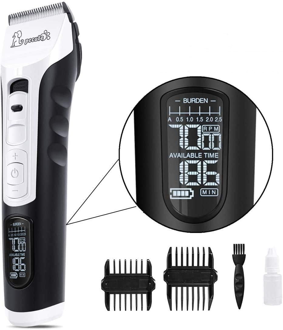 dog friendly luxury lodges with hot tubs