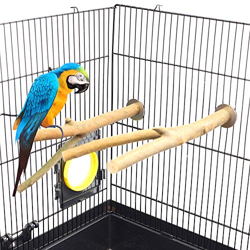 GNB PET 2 Pack Bird Perch Parrot Natural Wood Fork Stand Perch (7.87 Inches), Birdcage Stands Platform Pet Bird Toys with Stainless Steel Washers - Thumbnail 4