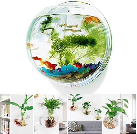 Wxjha Pecera Para Colgar En La Pared Fondo De Acrilico Pecera Con