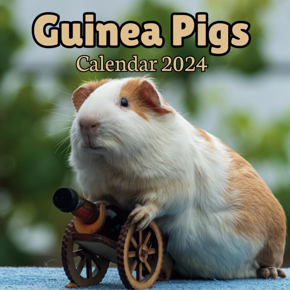 Guinea Pigs Calendar 2024: 16 Months , Organizer From September 2023 to December 2024 ,For Guinea Pigs lovers , Men , Women , Girls , Boys