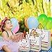 Birthday Gift Bags Rainbow Confetti Bow Design 3 Pack Small Medium Large Assortment