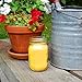 LumaBase Citronella Scented Candles in 9oz Mason Jars - Set of 3