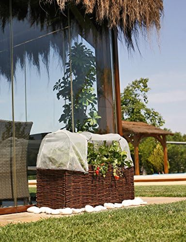Catral 71080010 - Mosquitera para huerto urbano Kit Planter, 100 x ...