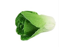 Zzooi Artificial High Simulation Chinese Cabbage Fake Celery Cabbage for Home Decor