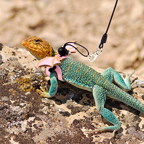 Lizard Crested Gecko Leash Crested Gecko Harness Leopard Gecko