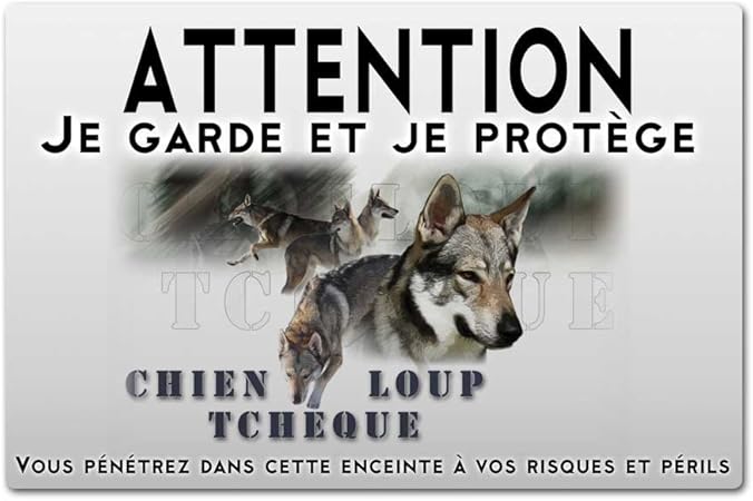 Pets Easy Panneau Attention Au Chien Chien Loup Amazonfr