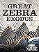 Nature: Great Zebra Exodus
