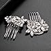 LUX ACCESSORIES Floral Crystal Pave Flower Bridal Hair Comb Set