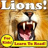 Lions! Learn About Lions While Learning To Read - Lion Photos And Facts Make It Easy! (Over 45+ Photos of Lions)