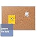 Quartet Cork Board, Bulletin Board, 2' x 1.5' Corkboard, Aluminum Frame (2301)