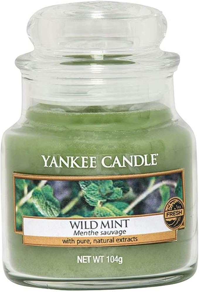 Yankee Candle Wild Mint Jar Candle, Green, Small Amazon.co.uk Kitchen