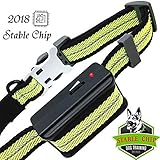DUYKQEM Dog Bark Collar Stable Chip - No Bark Shock Collar- Humane Anti Bark Control Collar - Harmless Stop Barking Dog Devices - Small Dog Bark Collars Medium Large Dogs Safe Collar (Green)