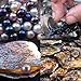 Hot Sale Gift! AMA(TM) 10Pcs 7-8mm Oysters with Large Oval Pearl inside Birthday Gifts