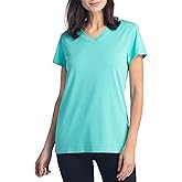 Fishers Finery Women's Ecofabric Short Sleeve Classic Fit V Neck Tee