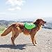 Outward Hound DayPak Green Dog Saddleback Backpack, Large