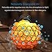 eecoo 736691298838 Himalayan Pink Crystal Sea Salt Rock Lamp 2x15W Bulbs, Base,Dimmable Controller,UL-Listed Cord, Round, Metal Bowl Mode