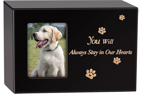 memory items for dogs