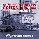 BLUES SENSATION:DETROIT DOWNHOME REC. 1948-49      image