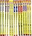 Slim Jim Giant Smoked Meat Jerky Sticks Variety Pack (.97 Ounce) (14 Pack)