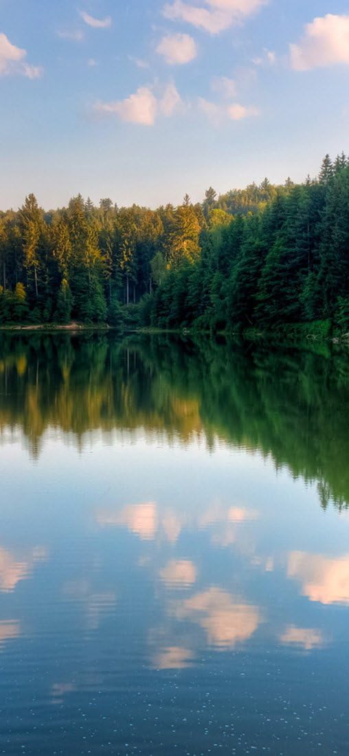 PeelitStickit, Beautiful Nature Wall Murals, ID-1278, vinyl, Multi-colour