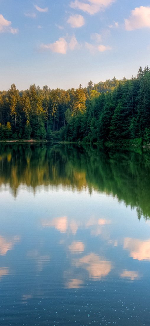 PeelitStickit, Beautiful Nature Wall Murals, ID-1278, vinyl