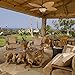 Honeywell Ceiling Fans Palm Valley, 52 Inch Tropical Indoor Outdoor Ceiling Fan with Light, Pull Chain, Three Mounting Options, 5 Palm Leaf Blades, Reversible Motor - 50507-01 (Bronze)