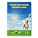 Wag Whimsy Italian Greyhound Property Laws Fridge Magnet
