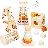 Wooden Montessori Toys Set for Toddlers,Wooden Toy Set for Babies Educational Object Permanence Box,Xylophone(Glockenspiel),S