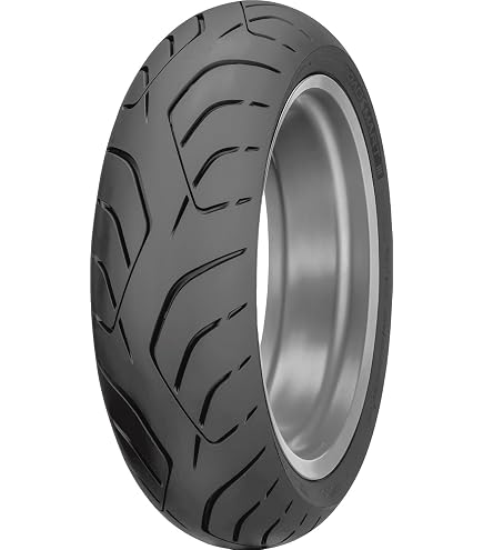 Amazon.com: Dunlop Roadsmart 3 Rear Tire (160/60-17) : Automotive