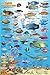 Tahiti Reef Creatures Guide Franko Maps Laminated Fish Card 4