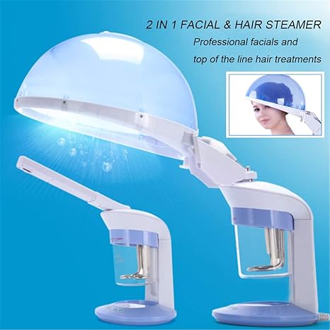 Buy 2 In 1 Salon Ozone Facial Hair Steamer Mist Facial Sprayer