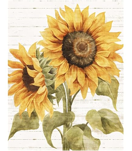 Amazon.com: ZXHYWYM Sunflower Canvas Wall Art Vintage Sunflower