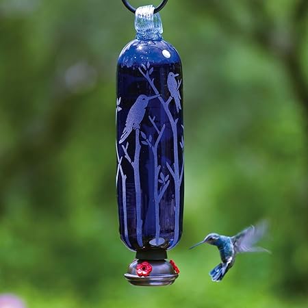 Amazon Com Parasol Filtwb Filigree Twigs Hummingbird Feeder Blue