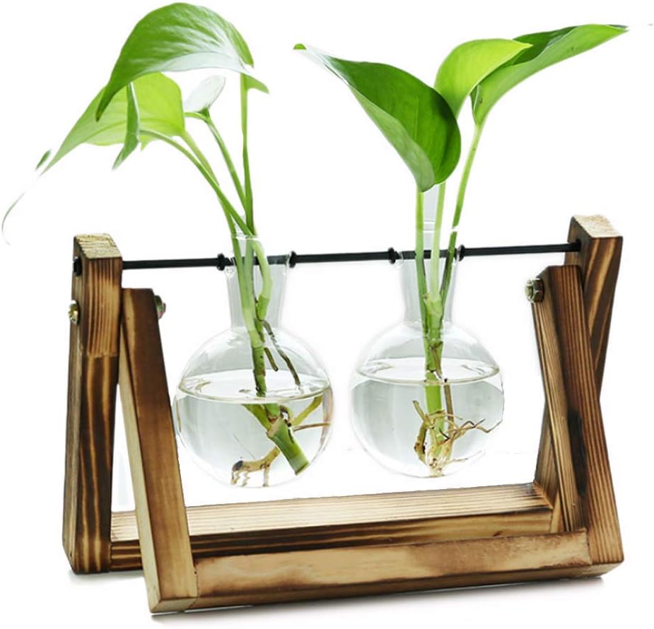 EssenceLiving 2 Bulb Glass Planter Vase with Wooden Holder, Plant Stand, Retro Hydroponic Planter, Wooden Planter, Glass Vase with Holder,Terrarium Stand