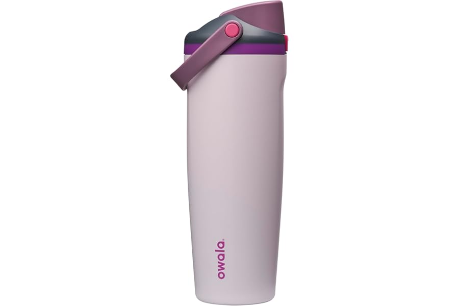 Owala FreeSip Sway Insulated Stainless Steel Water Bottle with Two-Way Spout, Built-In Straw and Bucket Handle, Made for Travel, School, and Sports, 30oz, BPA Free, Leak Proof, Dreamy Field