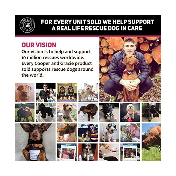 C&G Pets Dog Shampoo For Itchy Skin Antibacterial And Antifungal