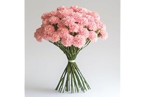 GlobalRose 200 Pink Carnation Flowers - Responsibly Sourced Carnations Fresh Flowers - Hand-Picked Fresh Bouquet for Graduation, Anniversary, Birthday & Special Occasions (8 Bunches of 25 Stems)