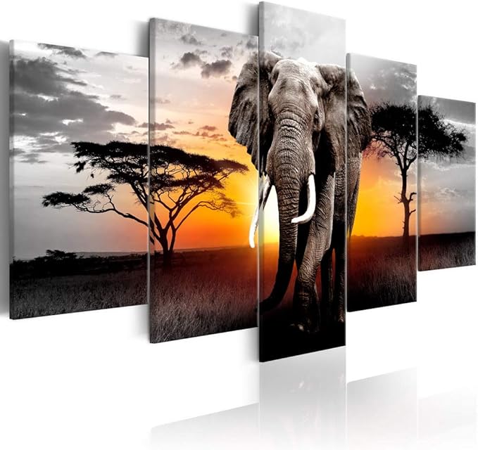 Set Of 6 Safari Nursery Prints Safari Animal Prints Safari Animals Baby Safari Nursery Set Animal Nursery Animal Print Baby Wall Art Safari Nursery Prints Nursery Animal Prints Baby Safari Nursery