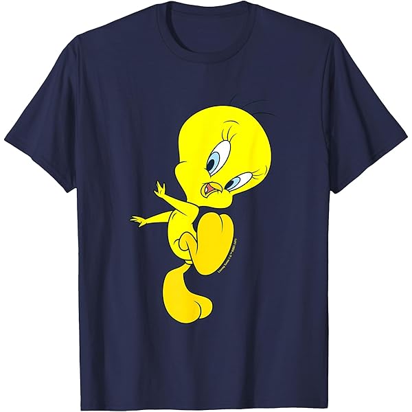 Amazon.com: LOONEY TUNES Boys' Sylvester and Tweety T-Shirt Size 4
