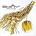 ShiDianYi Foil Fringe-Backdrop-3FTX8FT Metallic Foil Fringe Curtain/Photo Backdrop/Hanging Tinsel for Window Curtains (Gold)