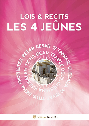 Download Lois & Récits : les 4 Jeûnes PDF