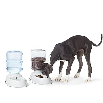 Automatic Pet Feeders Self Dispensing Gravity Pet Feeder And