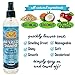 Bodhi Dog Waterless Shampoo - Natural Dry Shampoo for Dogs & Cats - Neutralizes Pet Odor - No Rinse Required - Made of Natural Extracts - Safe for Sensitive Skin - Oatmeal & Apple (8 Fl Oz)