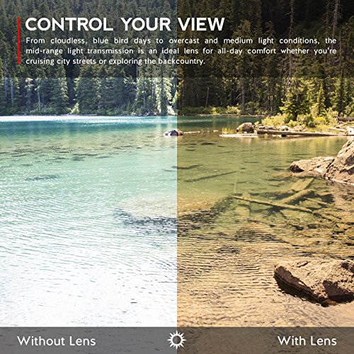 Revant Replacement Lenses for Oakley Monster Dog Ice Blue MirrorShield