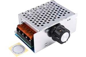 BEWINNER AC 220V 4000W SCR Voltage Regulator Dimmer Adjustable Electric Motor Speed Controller Large Power Module
