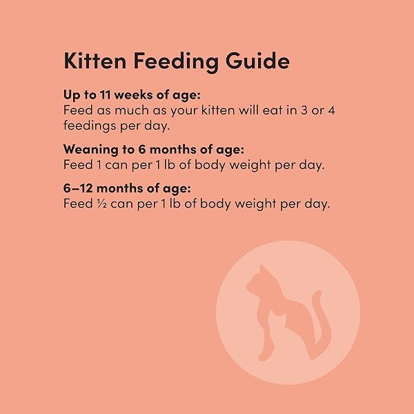 AMAZON BRAND – KITZY WET CAT FOOD, CHICKEN CUTS IN GRAVY, GRAIN FREE (KITTEN), 3 OUNCE (PACK OF 24)