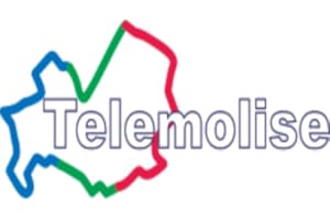 Telemolise