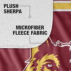Northern State University Primary Logo Stripes